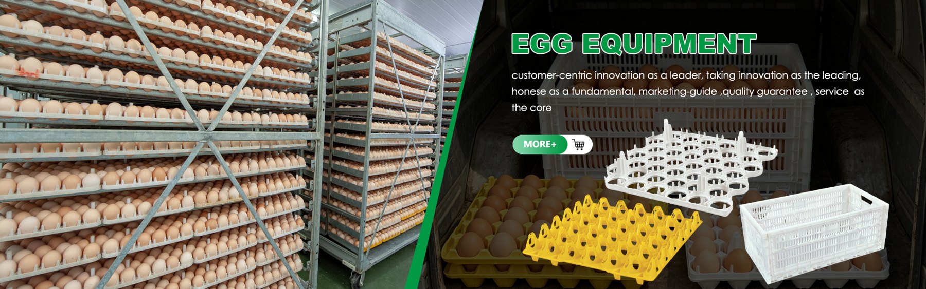 Chicken Equipment
